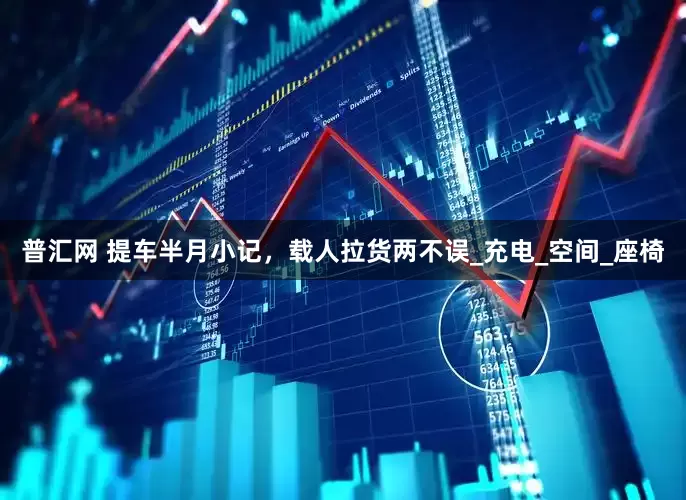 普汇网 提车半月小记，载人拉货两不误_充电_空间_座椅
