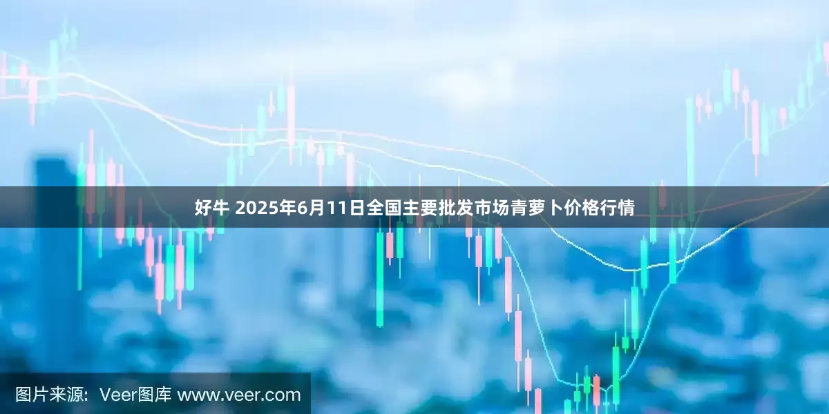 好牛 2025年6月11日全国主要批发市场青萝卜价格行情